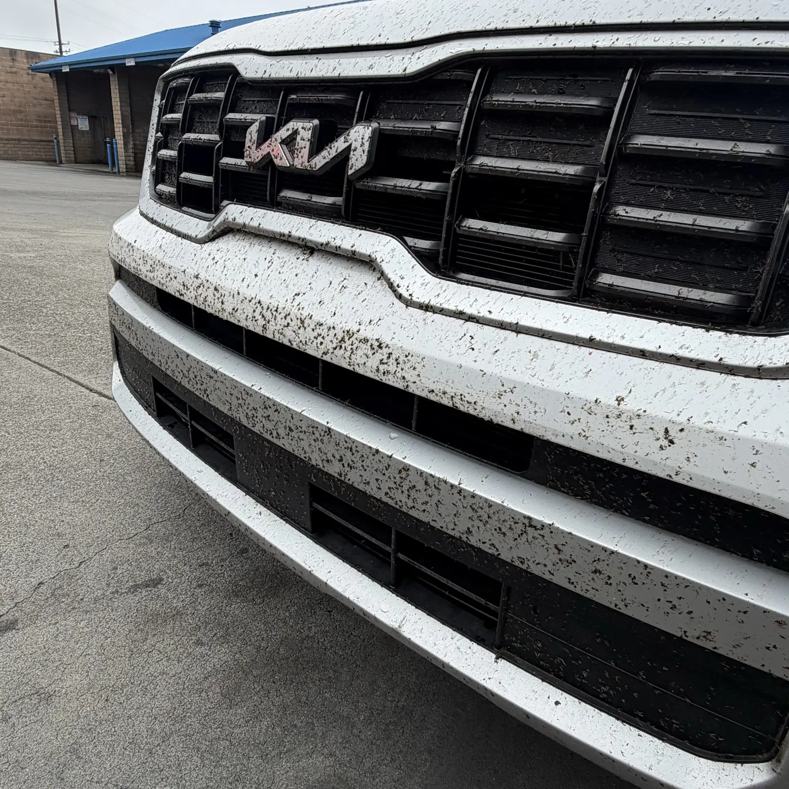 Before: the front of a white Kia covered in bugs and road film